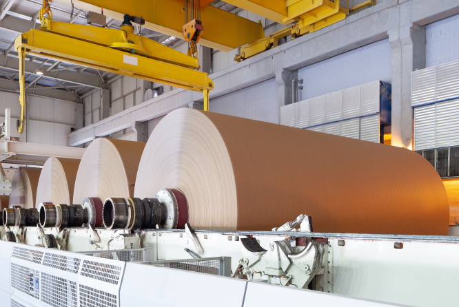 Pulp and paper plant